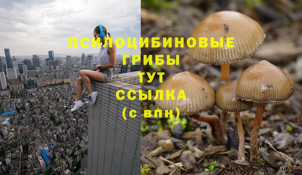 экстази Нефтекумск