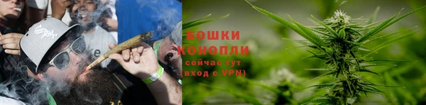 дживик Нея