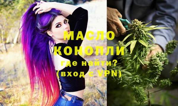 дмт Надым