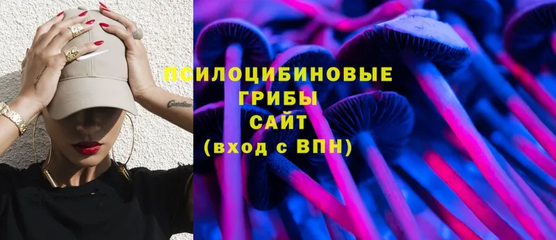 Псилоцибиновые грибы Cubensis  Лермонтов 